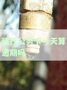 建行公务卡一天算逾期吗，关于建行公务卡的逾期问题：一天是否算逾期？