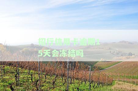 招商银行逾期半个月：还款卡会冻结吗？逾期后还能使用吗？