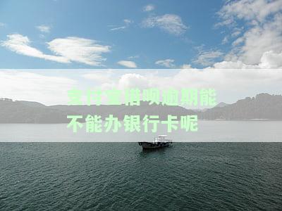 支付宝借呗逾期能否办理银行卡？安全性如何？