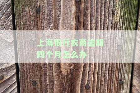 比较上海银行与上海农商银行：哪家更适合办理房贷？