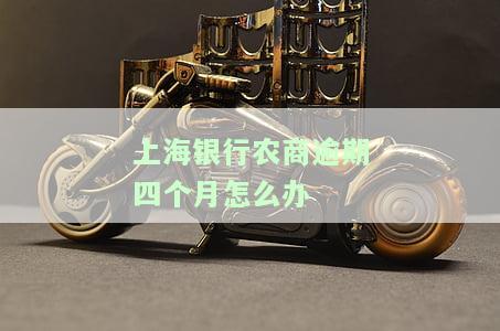 上海银行农商逾期四个月怎么办-上海银行农商逾期四个月怎么办啊
