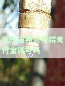 京东逾期：会冻结我名下银行卡和微信支付吗？如何协商金条期还款？