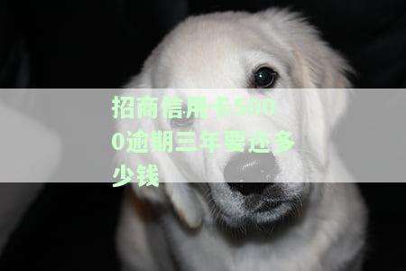 招商信用卡5000逾期三年，要还多少费用？