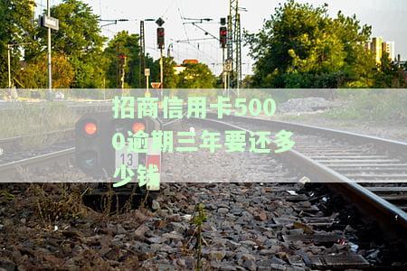 招商逾期5000三个月会怎么样，逾期3个月，招商银行5000元贷款会产生什么影响？