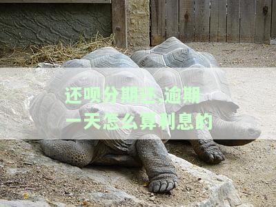 还呗逾期一天会有什么后果？有奖问答！赶快了解风险！