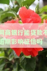 网商银行能不能贷款，网商银行是否可以提供贷款服务？