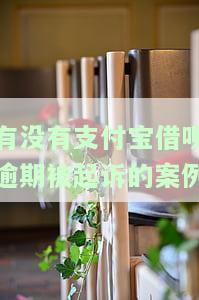 支付宝借呗逾期被法院起诉，是民事还是刑事诉讼？