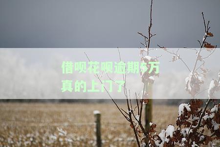 借呗花呗逾期5万真的上门了吗，真相揭秘：借呗花呗逾期5万元，真的会被上门催收吗？