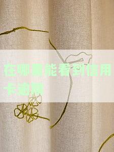 在哪里能看到信用卡逾期记录？全面解答！