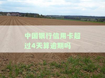 中国银行信用卡3天宽限期计算及最晚截止时间