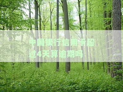 中国银行信用卡时三天还款计算方法