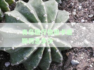 青岛银行信用卡逾期罚息标准是多少？