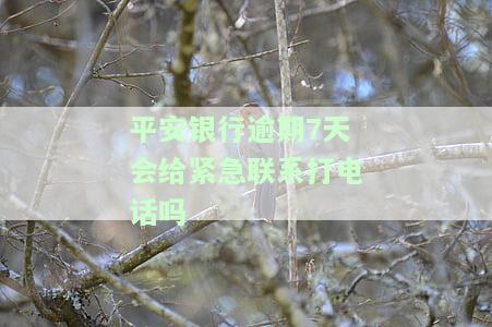 平安银行逾期十几天会打电话给家里人吗？安全风险如何？