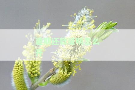 逾期还款证明怎么开模板，如何开具逾期还款证明？详细操作模板在此！