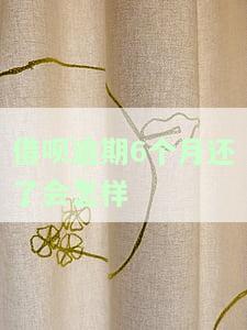 借呗逾期6个月严重吗，逾期六个月的借呗会对你的信用造成多大的影响？