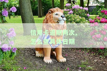 信用卡逾期两次,怎么查具体日期