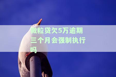 微粒贷欠5万逾期三个月会强制执行吗知乎，微粒贷欠款五万逾期三个月，是否会遭到强制执行？——知乎上的讨论
