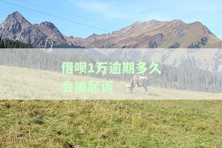 借呗逾期一万多会被起诉吗？详解法律责任与应对策略