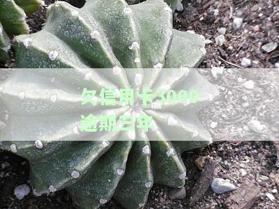 欠信用卡3000逾期三年会坐牢吗，信用卡欠款3000元逾期三年，是否会面临牢狱之灾？