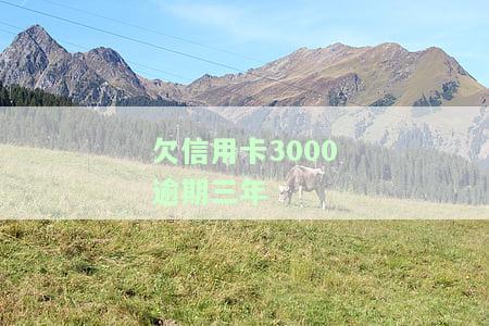 欠信用卡3000逾期三年-欠信用卡3000逾期三年以上会判刑吗