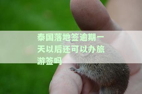 泰国签证逾期一天后果，了解泰国签证逾期一天的后果！