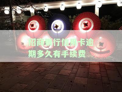 招商银行信用卡逾期：全额还款及影响信用记录解析