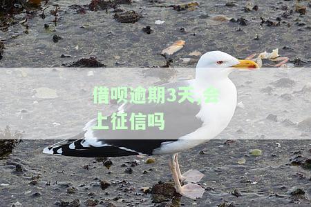 借呗逾期三天会影响征信吗？多久能消除记录？