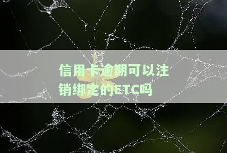 信用卡逾期可以注销绑定的etc吗，信用卡逾期能否注销绑定的ETC？