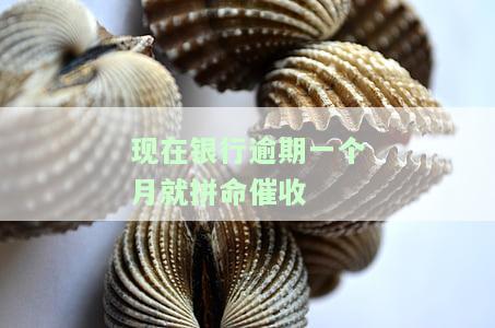 银行逾期一个月会不会影响贷款，银行逾期一个月是否会影响您的贷款申请？