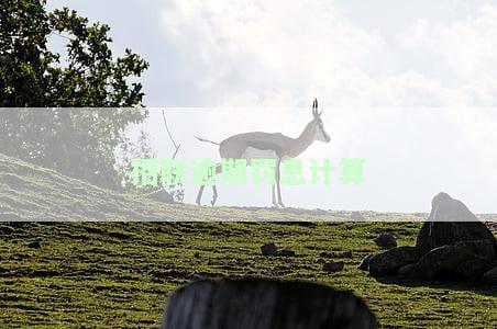 招联的罚息能追回吗？风险与真实性探讨