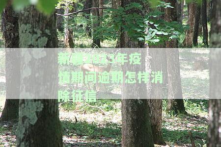 新疆疫情期间民政策全览：最新措与受益群体