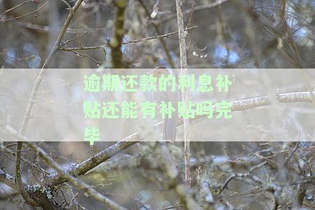 逾期给付利息，未按时支付利息？了解逾期给付的后果！