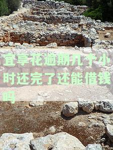 宜享花逾期几个小时还完后能否再借？真的可行吗？逾期一两天会有何影响？会上征信吗？