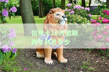 信用卡20万逾期两年利息多少