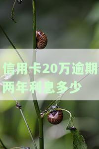 信用卡20万逾期是否会坐牢？判多久？一年利息多少？