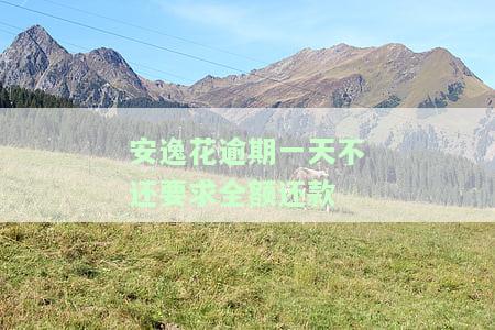 安逸花逾期一天,就不能提现了,是不是以后都借不了了，安逸花逾期一天后能否继续提现？会对后续借款产生影响吗？