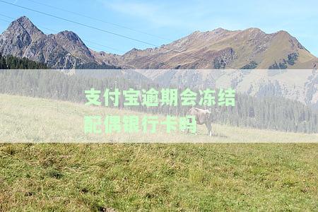 支付宝逾期会冻结名下，注意！支付宝逾期可能导致账户冻结，切勿忽视还款