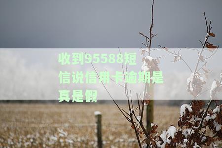 95566发来短信信用卡，立即获取您的信用卡信息！输入'95566发来短信信用卡'开始申请