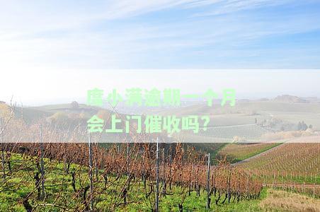 度小满逾期一个月会上门催收吗?-度小满逾期一个月会起诉吗
