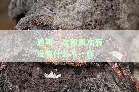 逾期一次和多次有何区别？影响有多大？