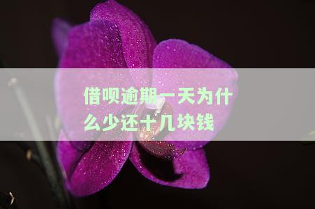 借呗逾期一天为什么少还十几块钱-借呗逾期一天为什么少还十几块钱呢