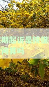 逾期起诉是什么意思？详解其含义与影响