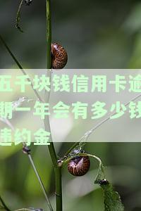 五千块信用卡逾期一年会产生哪些严重后果？