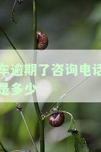车贷逾期投诉电话，急需解决车贷逾期问题？拨打这个电话进行投诉！