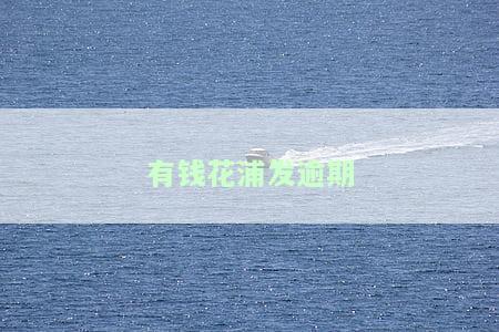 有钱花浦发逾期处理办法及办理流程详解