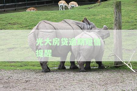如何取消光大房贷逾期短信提醒？