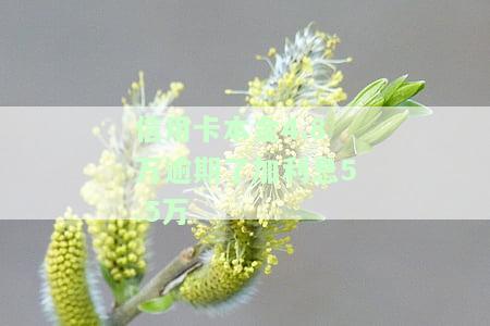 计算信用卡本金4.8万逾期后5.5万利息的方法