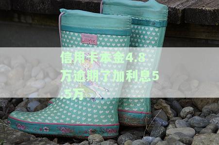 信用卡本金4.8万逾期后，利息5.5万是否合法？