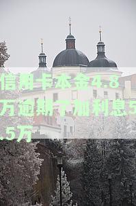信用卡4.5万逾期未还，信用卡逾期未还，欠款达4.5万元