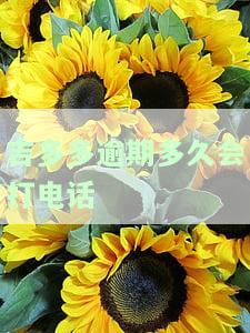 多多多久放款，急等贷款？多多放款速度快，立刻申请！